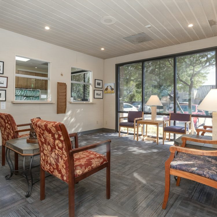 Cozy seating area with natural light